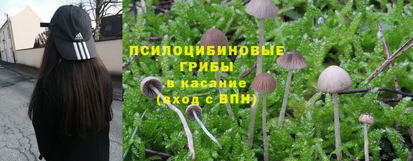 экстази Бородино