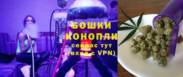экстази Бородино