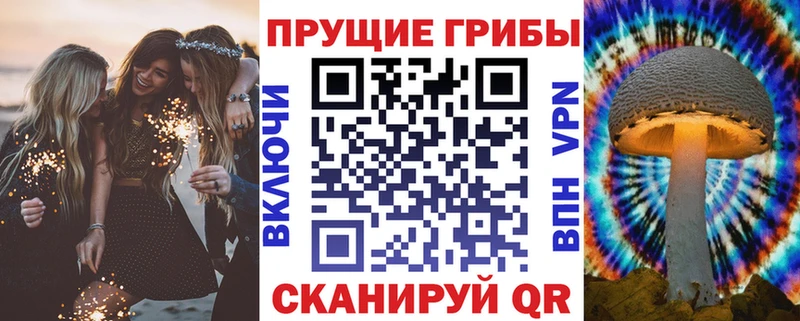 Купить где  Партизанск  Галлюциногенные грибы прущие грибы 